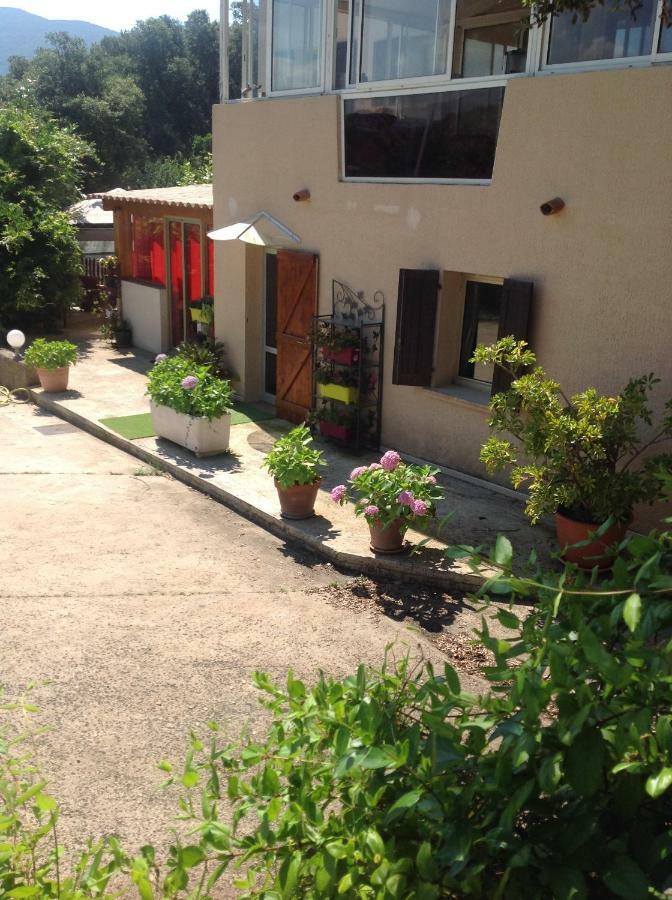 Charmant Appartement 2 Pieces Eccica-Suarella  Buitenkant foto