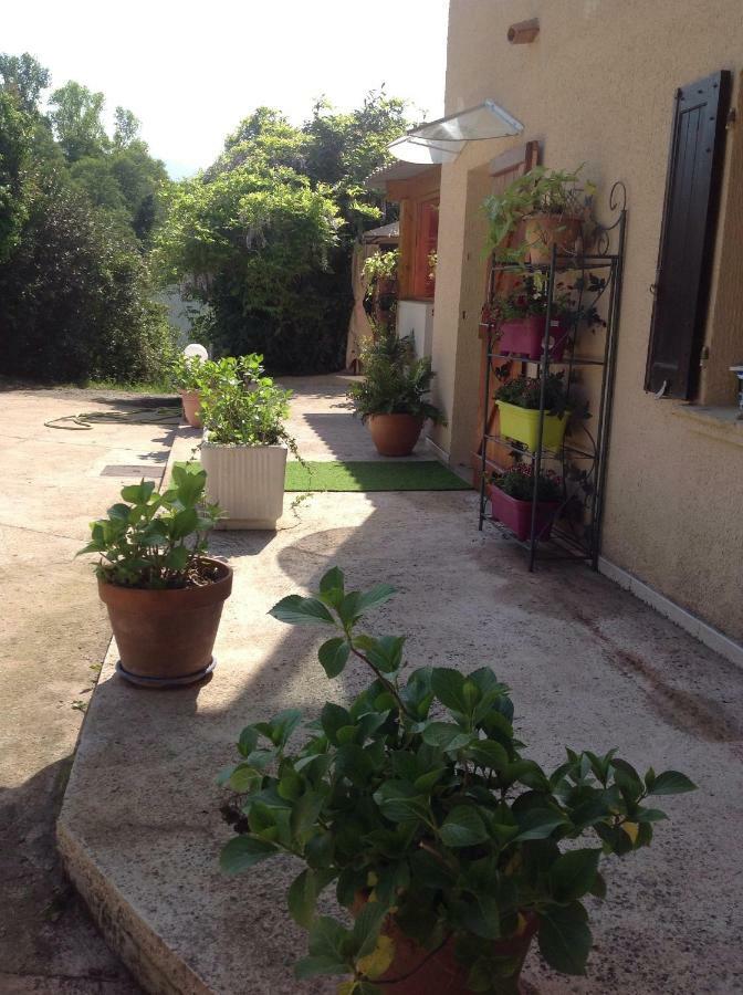 Charmant Appartement 2 Pieces Eccica-Suarella  Buitenkant foto